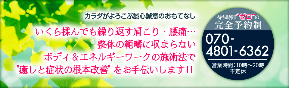 カラダがよろこぶ誠心誠意のおもてなしいくら揉んでも繰り返す肩こり・腰痛・・・整体の範疇に収まらないボディ＆エネルギーワークの施術法で”癒しと症状の根本改善”をお手伝いします！！